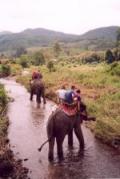 Chiang Mai travelogue picture