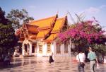 Chiang Mai travelogue picture