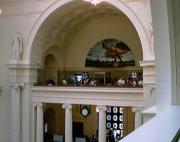 Inside the Field Museum