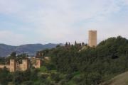 The Castillo - Velez-Málaga