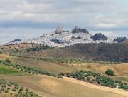 Consuegra travelogue picture