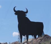 El Toro