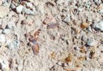 Coober Pedy travelogue picture