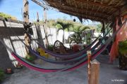 Copan travelogue picture