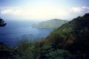 Tobago Main Ridge Forest Reserve Tobago Main Ridge Forest Reserve