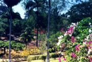The Botanical Gardens, Scarborough The Botanical Gardens, Scarborough