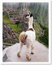 http://www.eldoradoexpeditions.com/ http://www.eldoradoexpeditions.com/