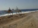 to the dive sites