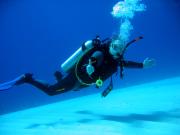 Eel Garden and me... and eels off course Eel Garden and me... and eels off course