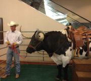 Dallas travelogue picture