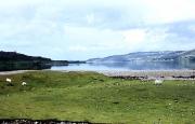 From end of Loch Torridon From end of Loch Torridon