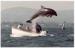 Dingle travelogue picture