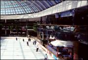 Ice Palace at WEM