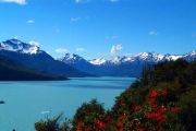 El Calafate travelogue picture