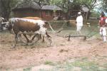 Eshowe travelogue picture