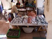 Fish souk