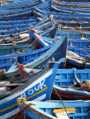 Boats in the harbour