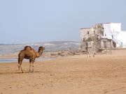 Sidi Kaouiki beach