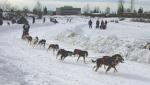 Fairbanks travelogue picture