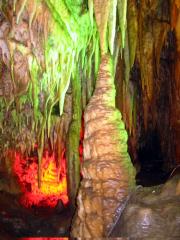 Another healthy cave shot. Well preserved this one. Another healthy cave shot. Well preserved this one.