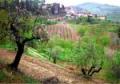 Firenze travelogue picture