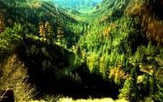 Oak Creek Canyon