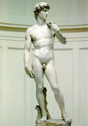 Michelangelo's David