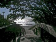 Peeking At the Gulf