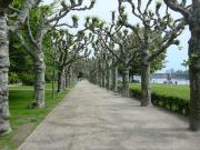 Frankfurt am Main travelogue picture