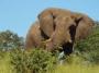 Gaborone travelogue picture