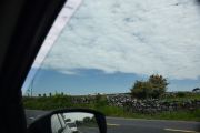 Just driving along