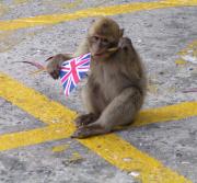 Cheeky fellow.