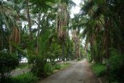 Gisenyi - Lakefront avenue Gisenyi - Lakefront avenue