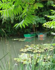 Boats on the pond - another picture