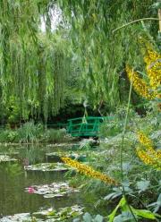 Japanese bridge, willows, lillies - heaven!