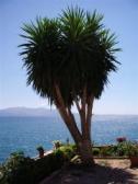 'Exotic' Sarandë