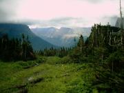 The view from Logan Pass