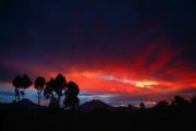 Virunga Volcanoes