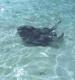 Grand Turk travelogue picture