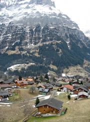 Grindelwald views