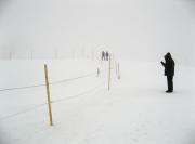 Windswept Jungfraujoch