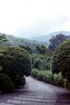 Walking path and garden at Hakone-En. Walking path and garden at Hakone-En.
