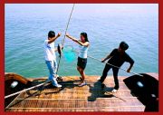 Fishing on Halong Bay