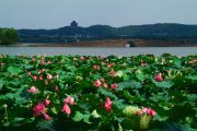 Hangzhou travelogue picture