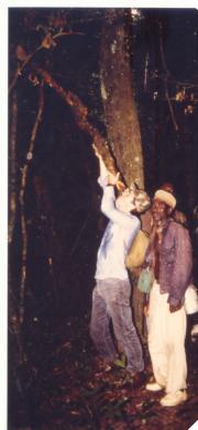 I learnt how to drink water from the branches I learnt how to drink water from the branches
