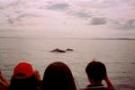 Hervey Bay travelogue picture