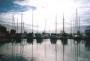 Hervey Bay travelogue picture