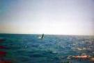 Hervey Bay travelogue picture