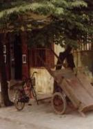 Hoi An travelogue picture