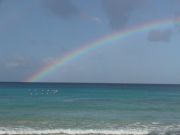 Sunny Rainbow - It's gonna be a great day! Sunny Rainbow - It's gonna be a great day!